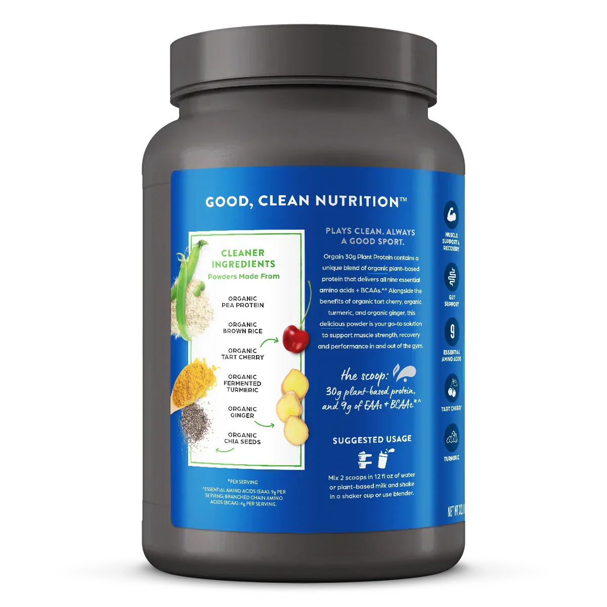 30g Plant Protein Powder - Vanilla