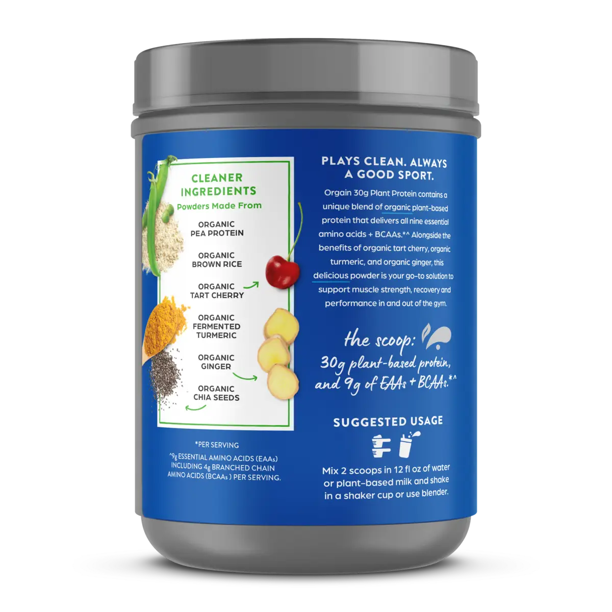 30g Plant Protein Powder - Vanilla